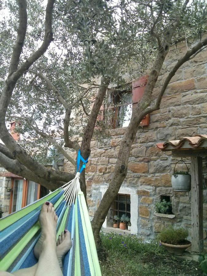 Istrian Stone House Villa Secovlje Exterior photo